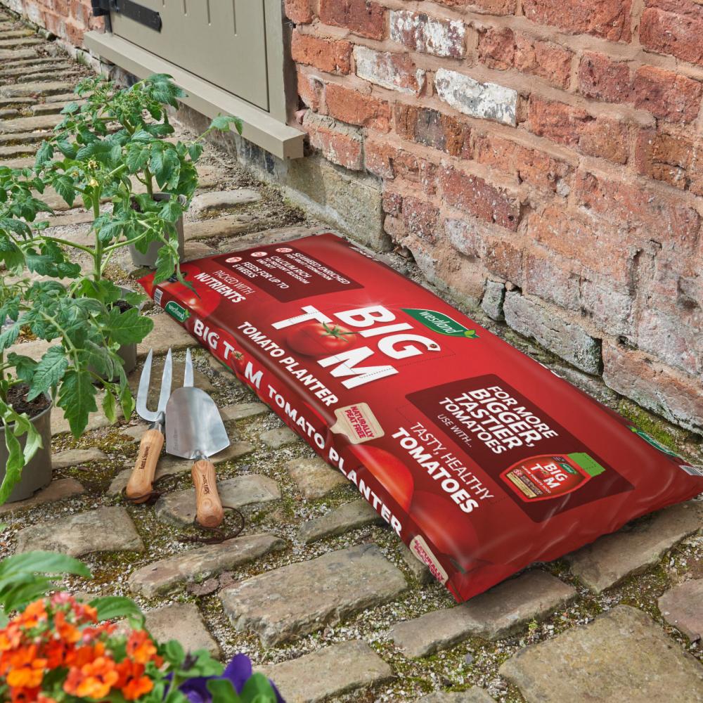 10903977_big tom tomato planter visual v3