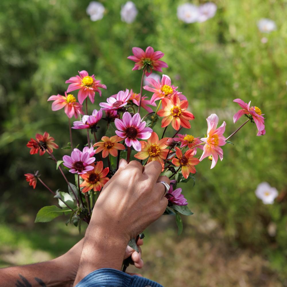 112a9911 2cfe4bd3fd7b142b5a0926960ff4149c