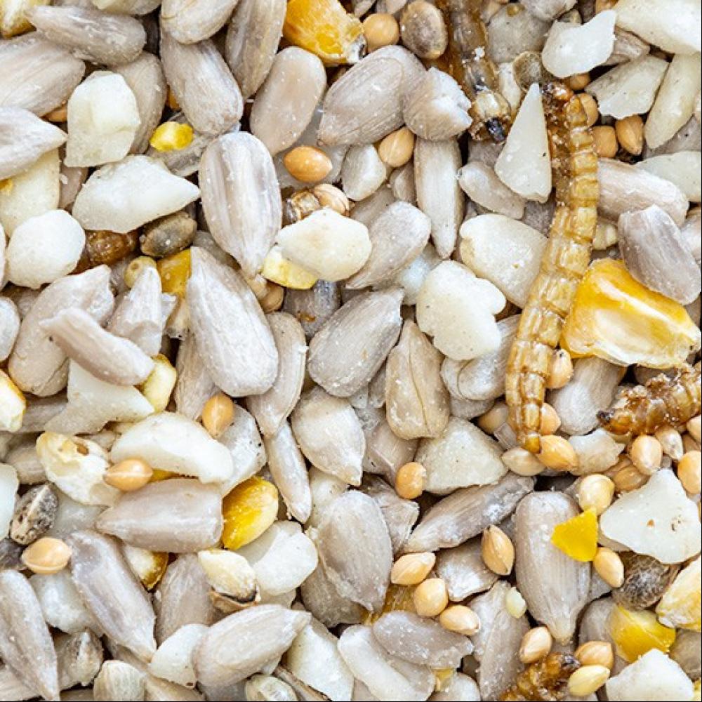 2ad0431a1201c983f927 product