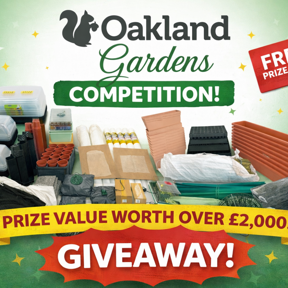 39dea885 e713 4a8d 8ab2 668538c45b81