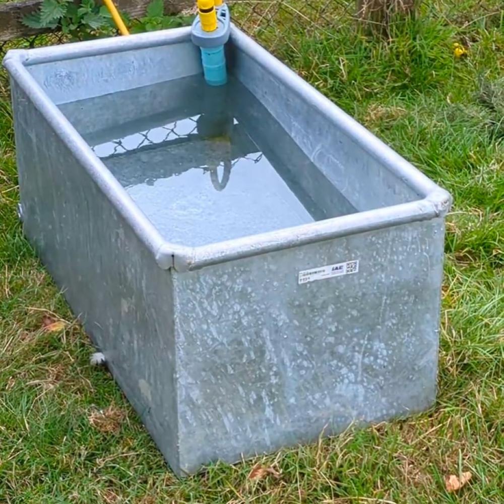 482827624_122211067178173307_1598020061106581982_n