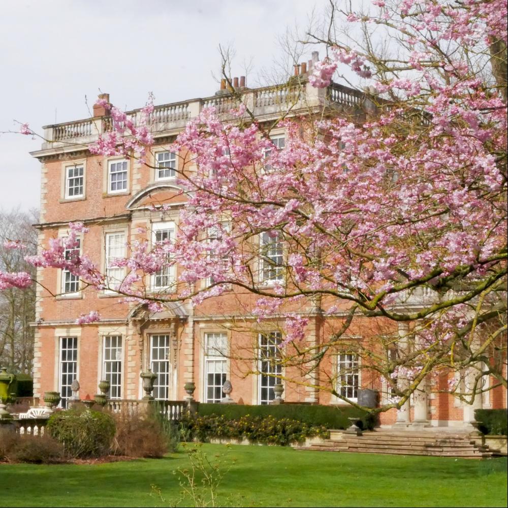 616446738_1213127010917895_1113241044626591322_n