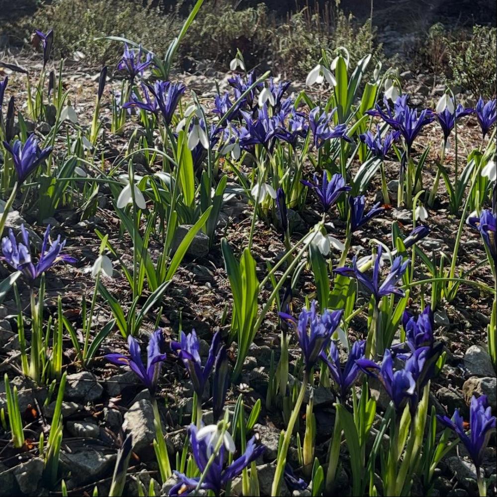 638283923_18525402301069702_6924683568006770395_n