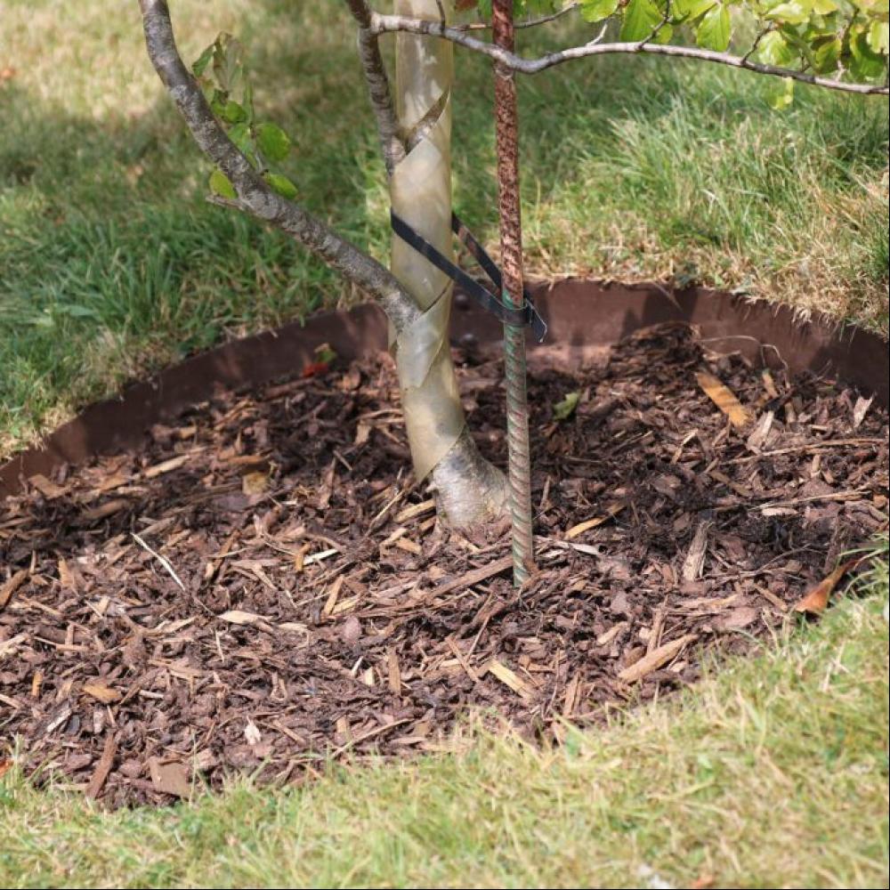 Garden Ring for Planting and Tree Edging