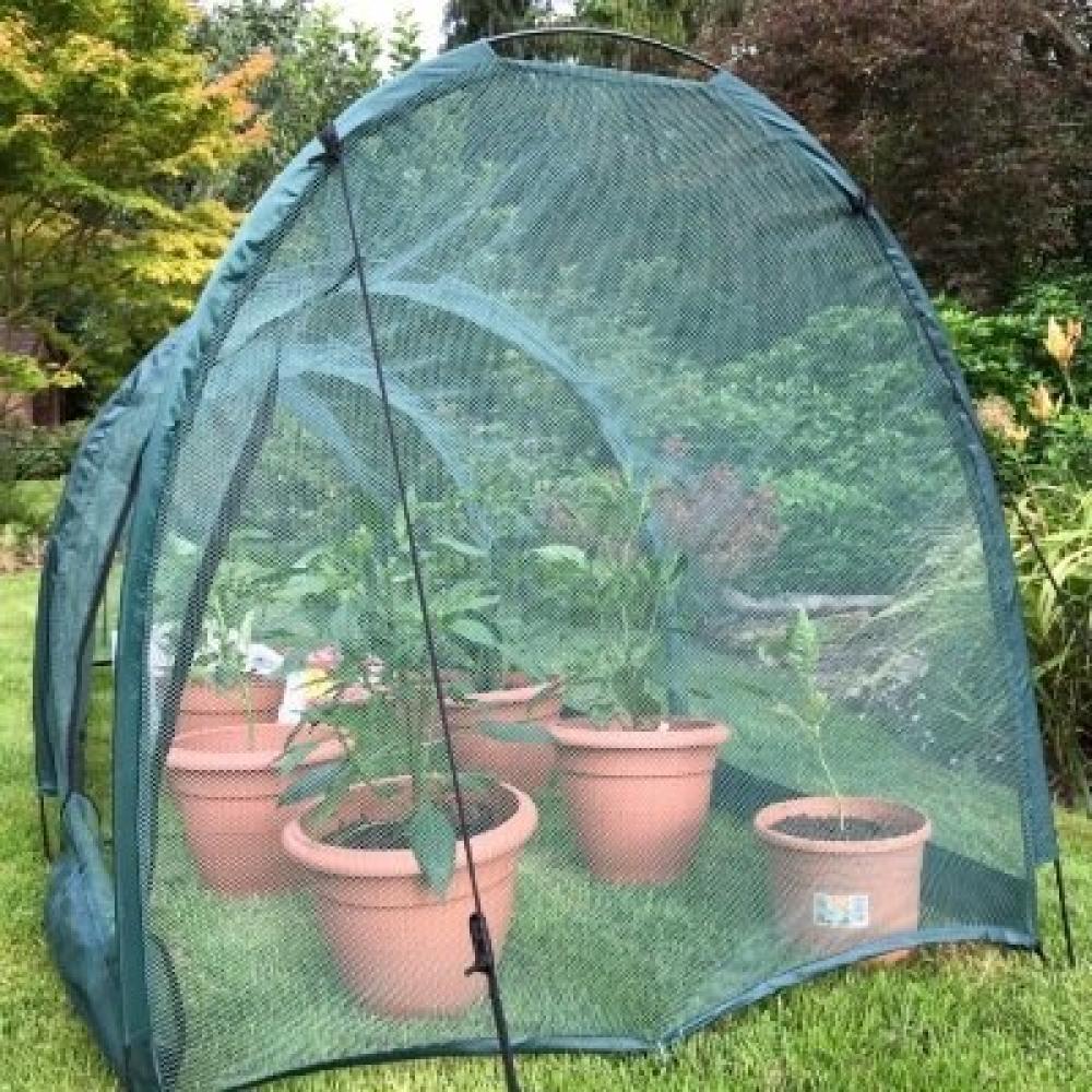 cloche 1