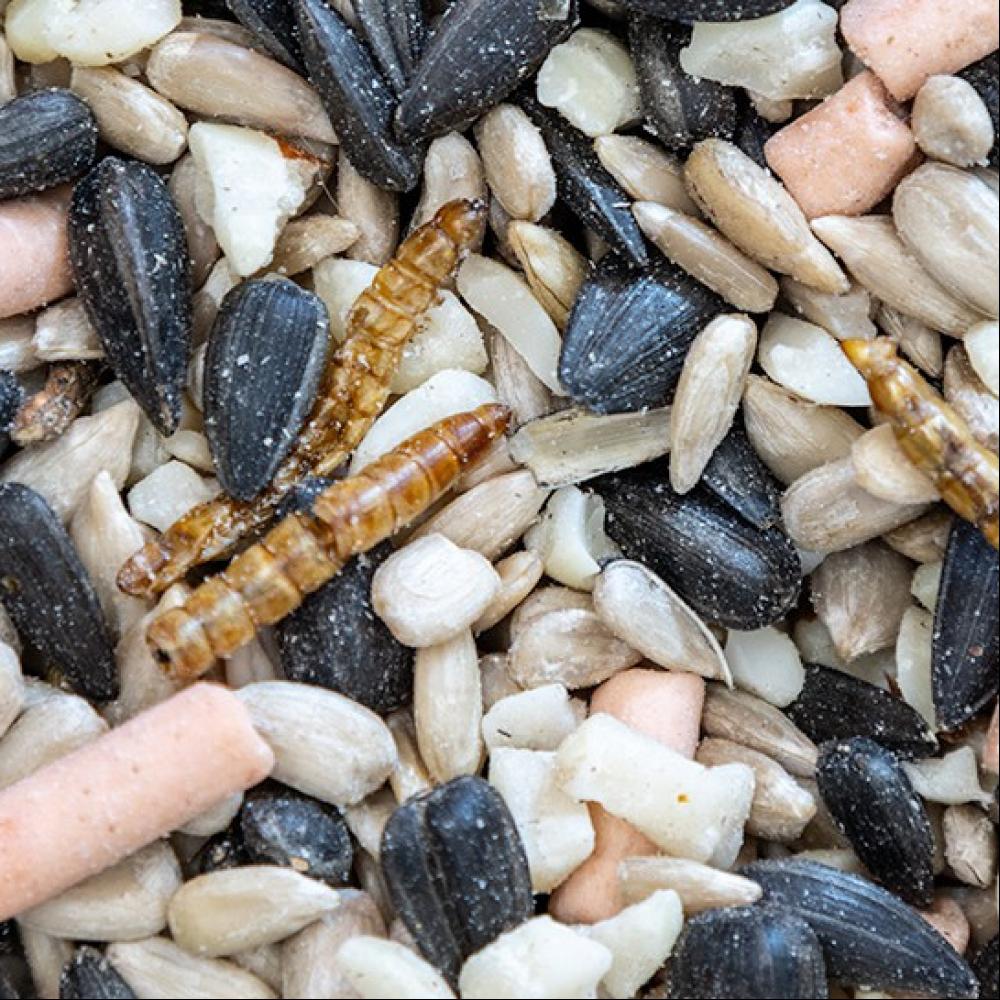 d70cabc0be6ba446d013 product 10a89154291e5e2b92b6f95f0474e168