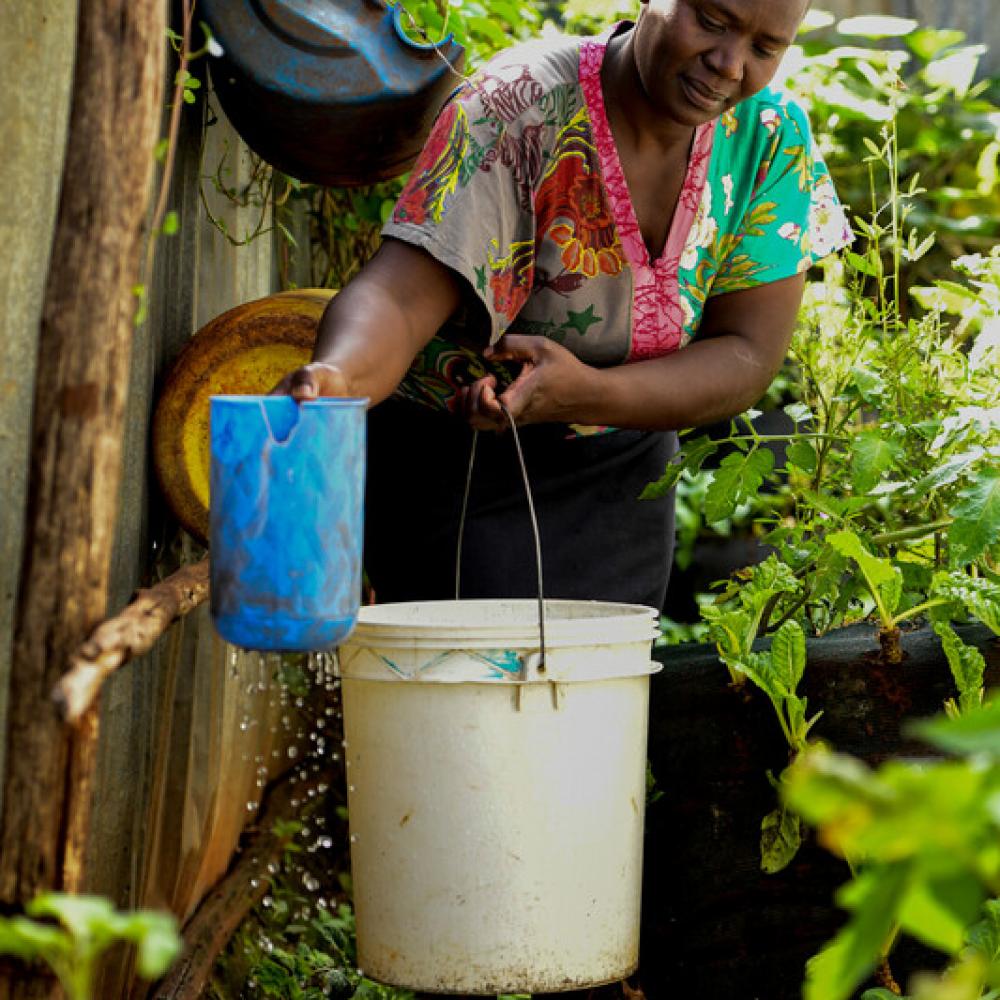 fridah waters her garden credit david macharia