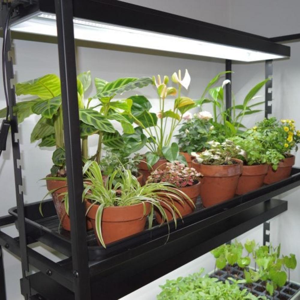 g289 high rise light garden with plants 3
