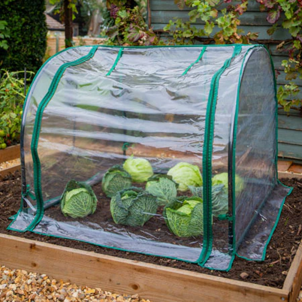 grow_it_seedling_cloche_with_cover_720x