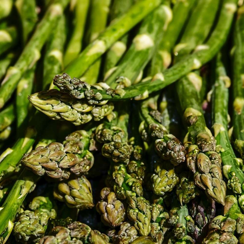 asparagus-3440348_1920.jpg