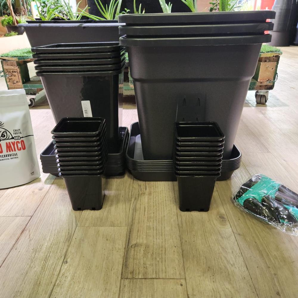 photo 2026 04 01 15 19 42