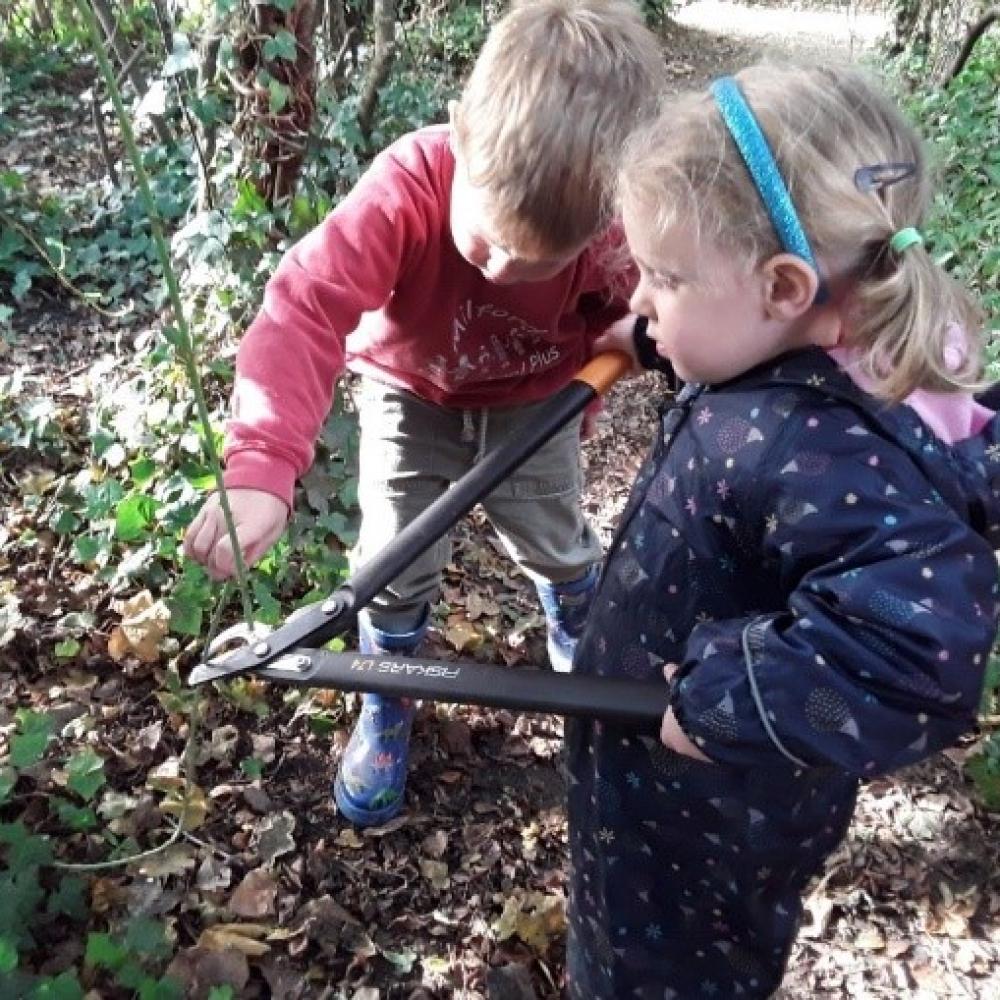 picture1 d6d9721e8b24ddbf0e9fe14e6946afa4