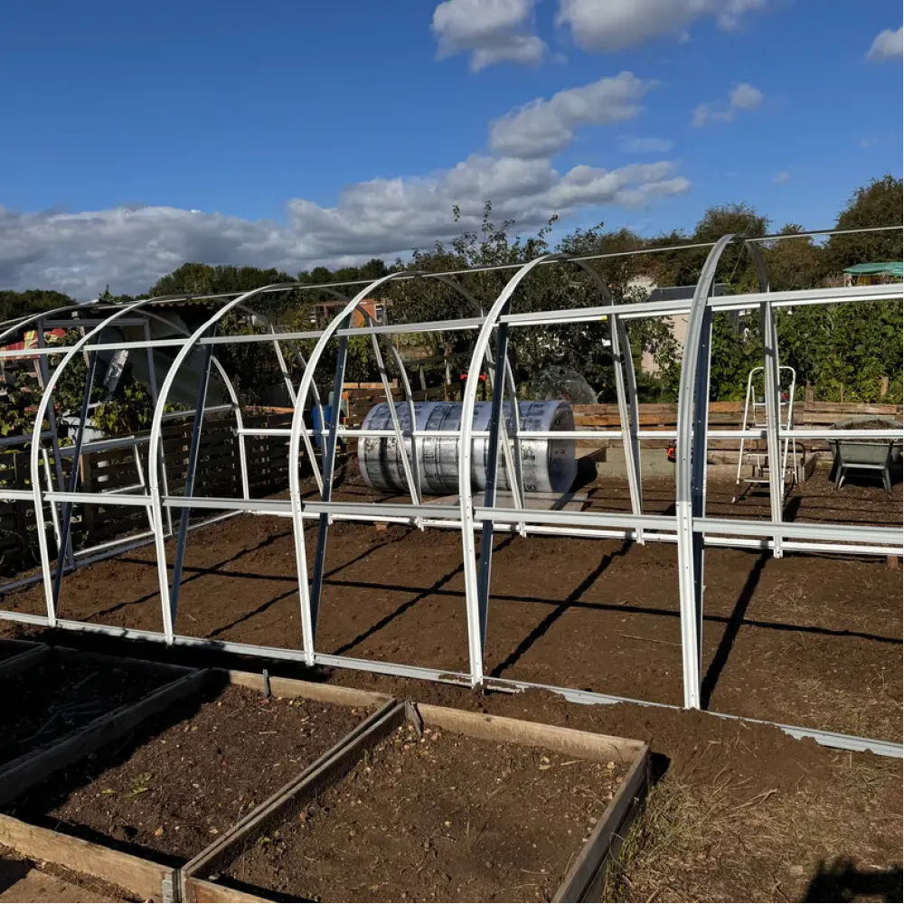 polytunnel image 2
