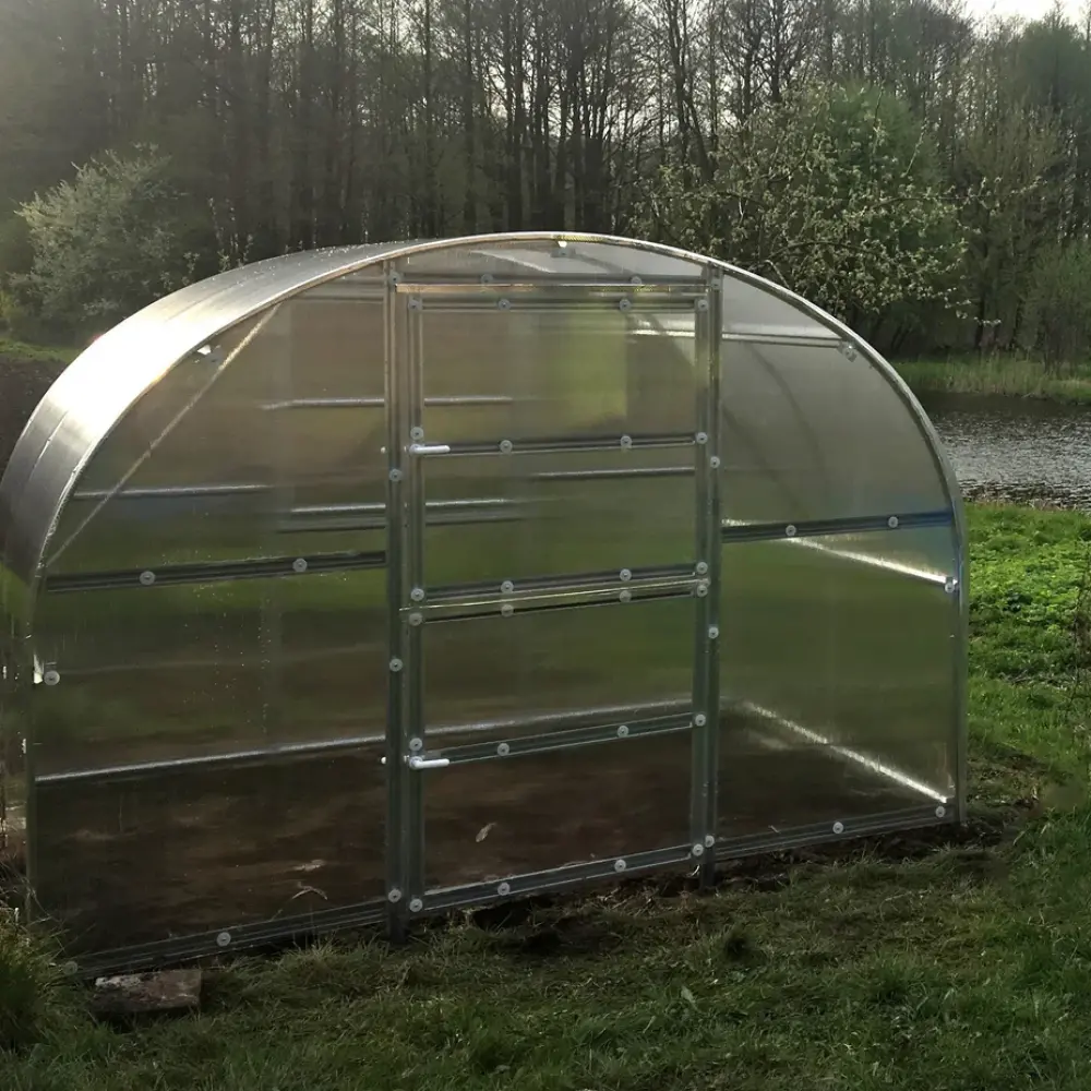 polytunnel image 3