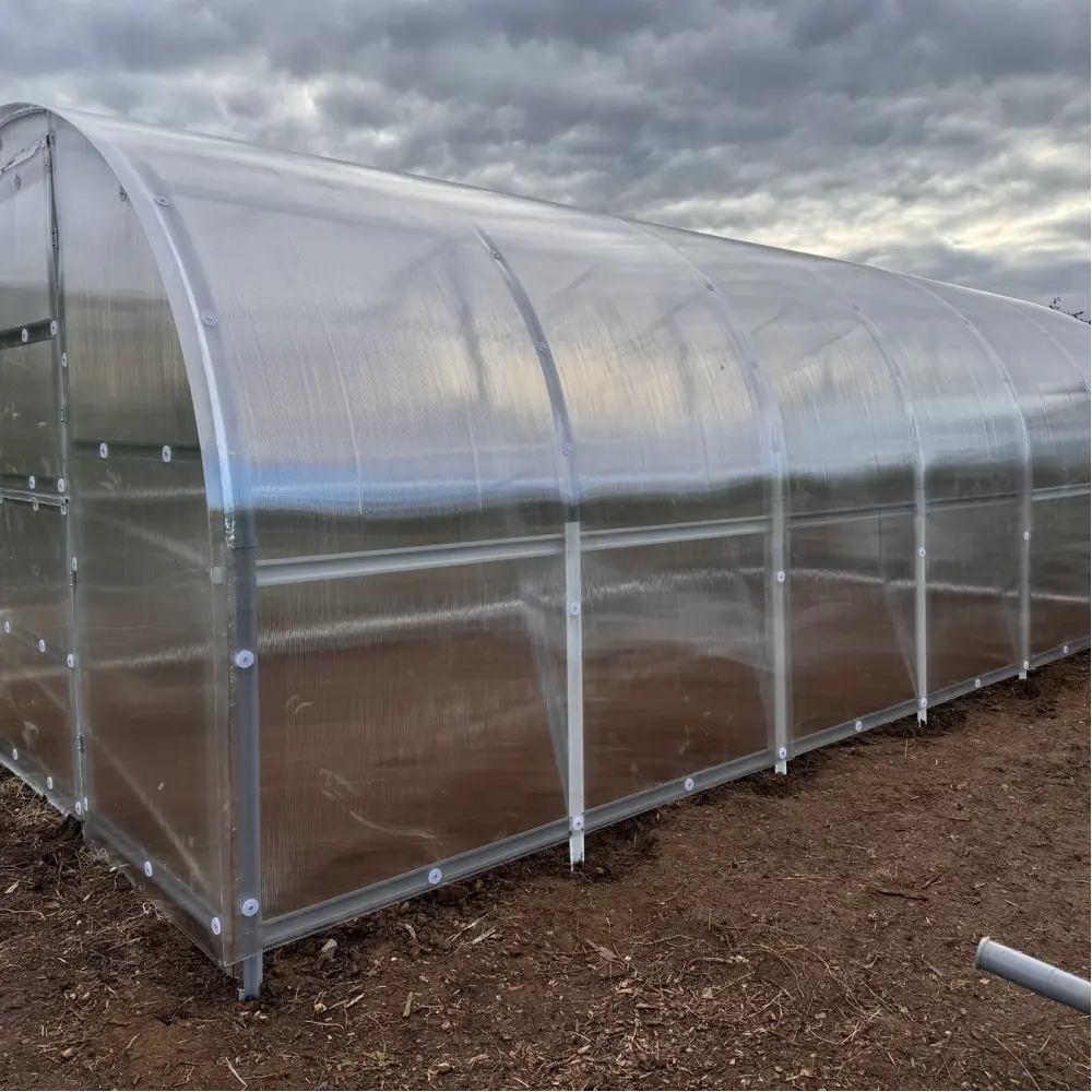 polytunnel main image