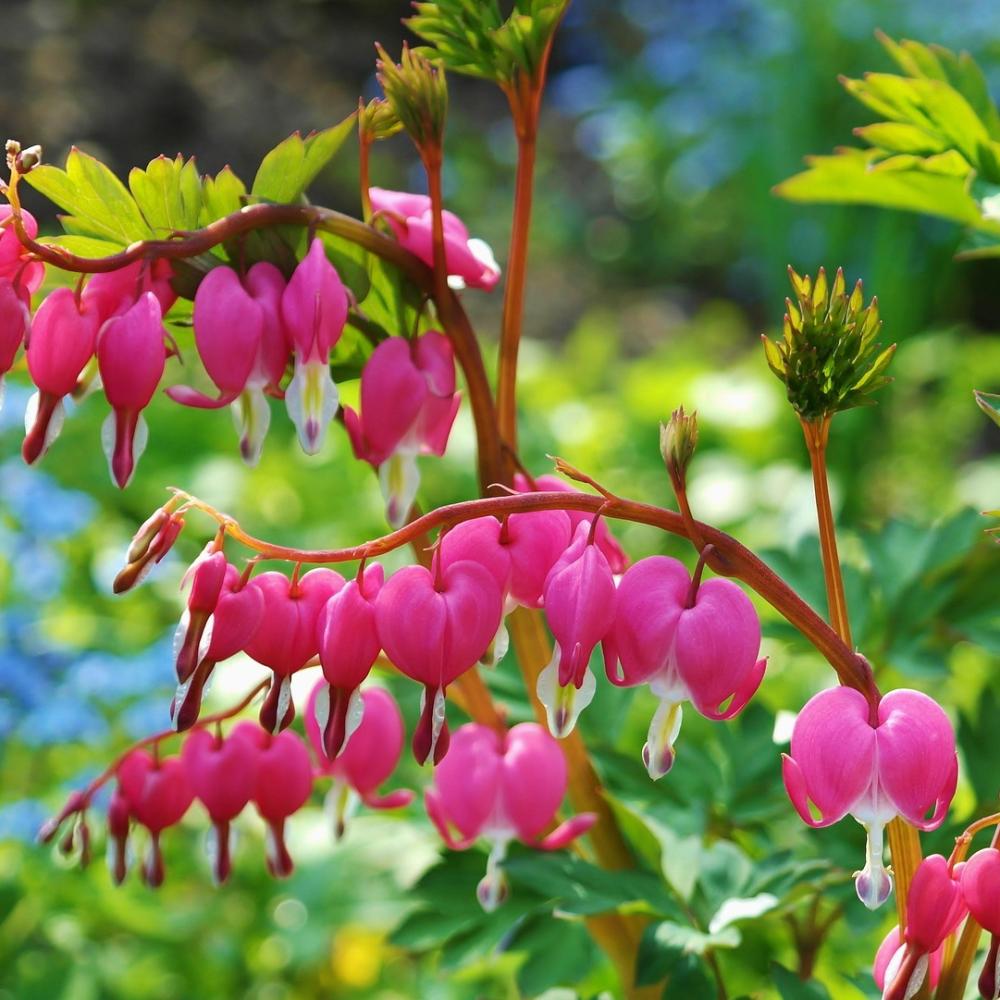 uploads/images/Enter for the chance to WIN in our Spring Giveaway!