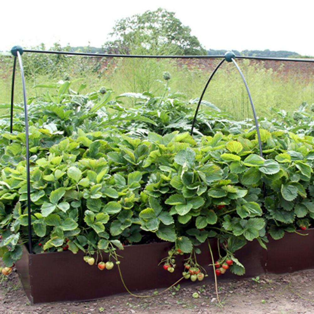 Raised Garden Bed EasyBed from EverEdge