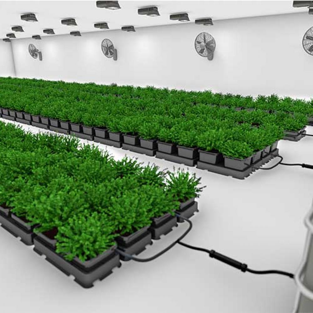 veg phae ii option 2 high res