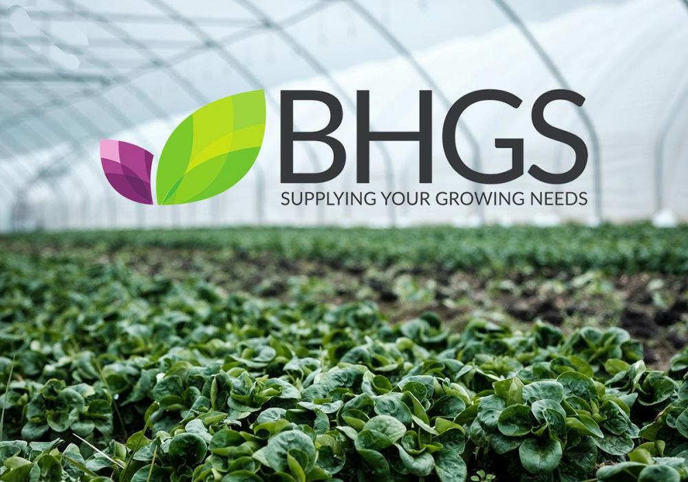 433890015_757155779729950_9151998127223480151_n