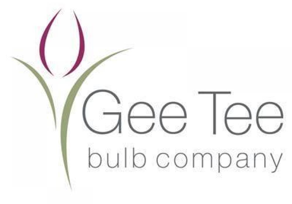 gee tee bulbs logo