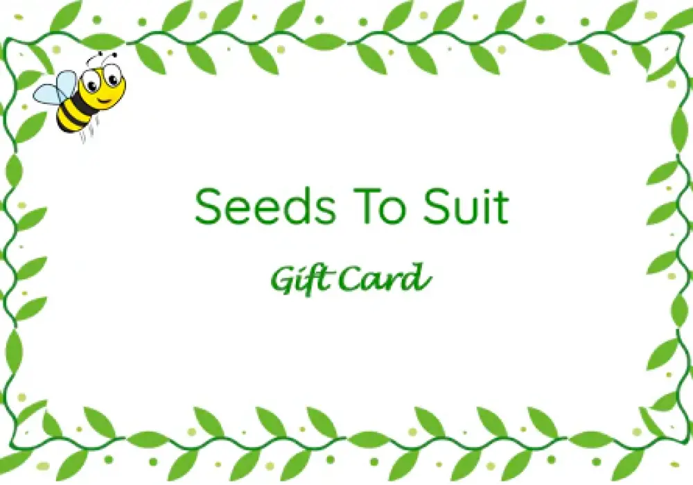 stsgiftcard