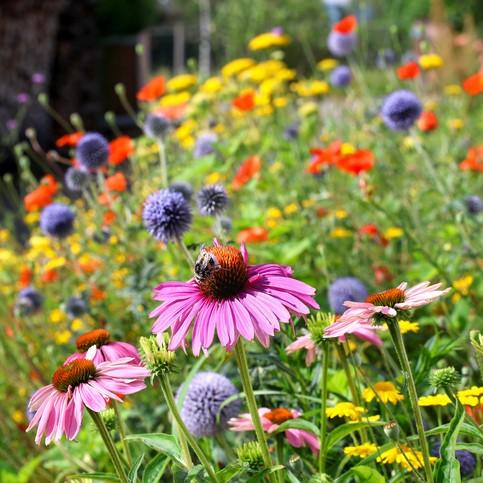 uploads/images/1000018470