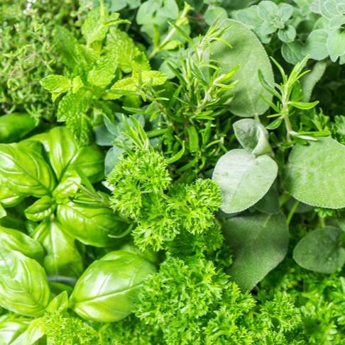 uploads/images/1000018473