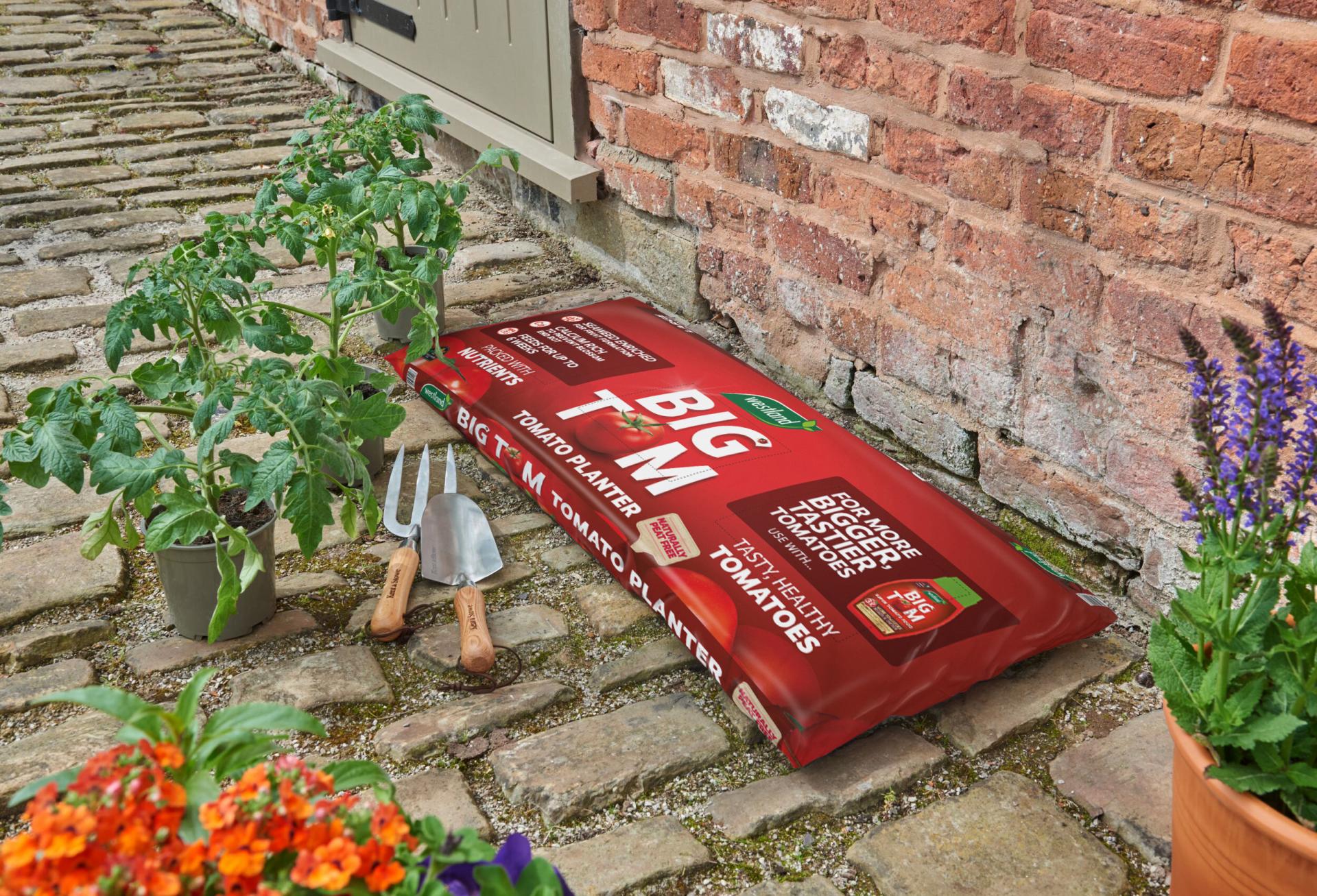 uploads/images/10903977_big Tom Tomato Planter Visual V3