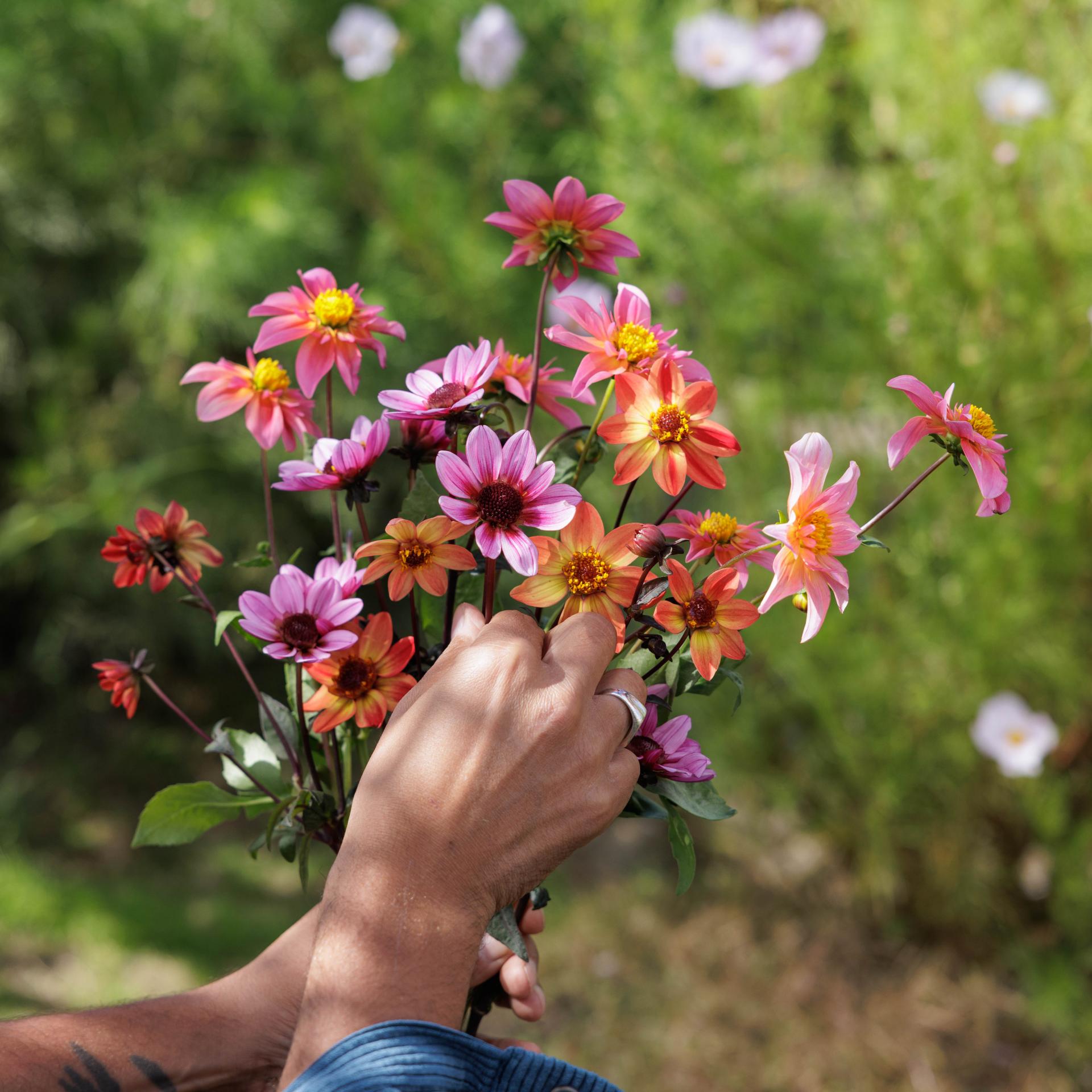 uploads/images/112a9911 22d222a7aed0b8481d6c74a4d7b1d263