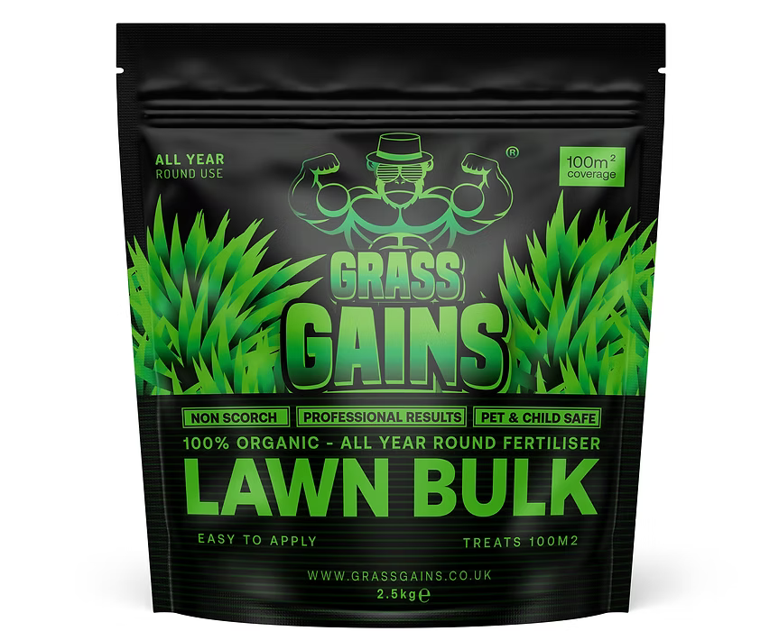 1600ac_87e5b0c2e1e140be801a6f22874f4798mv2