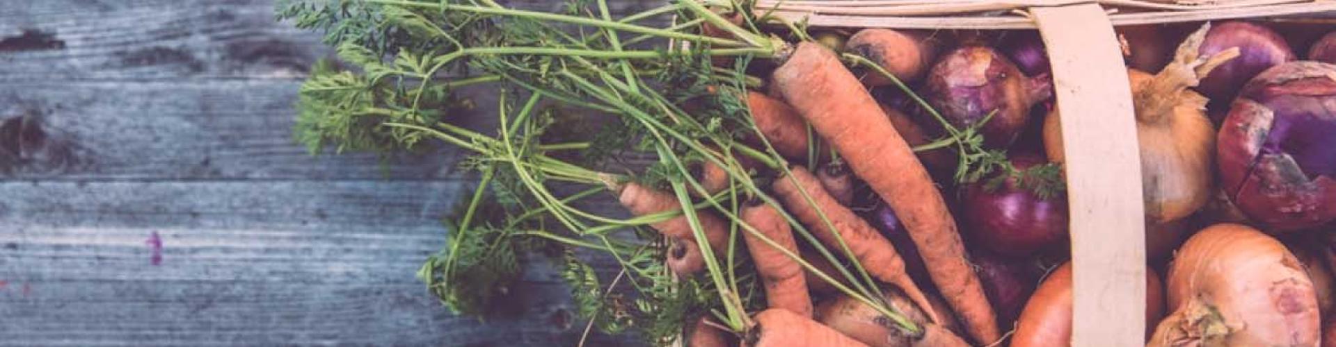 Beets & carrots with cumin & haydari