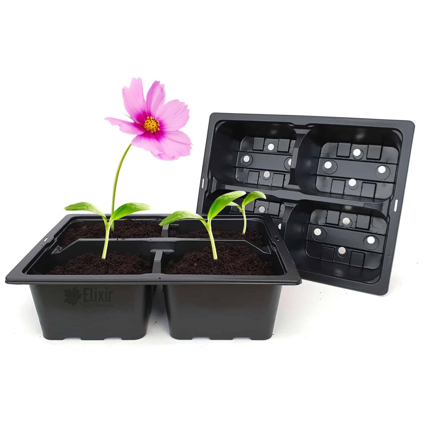 uploads/images/4 Cell Main Amz