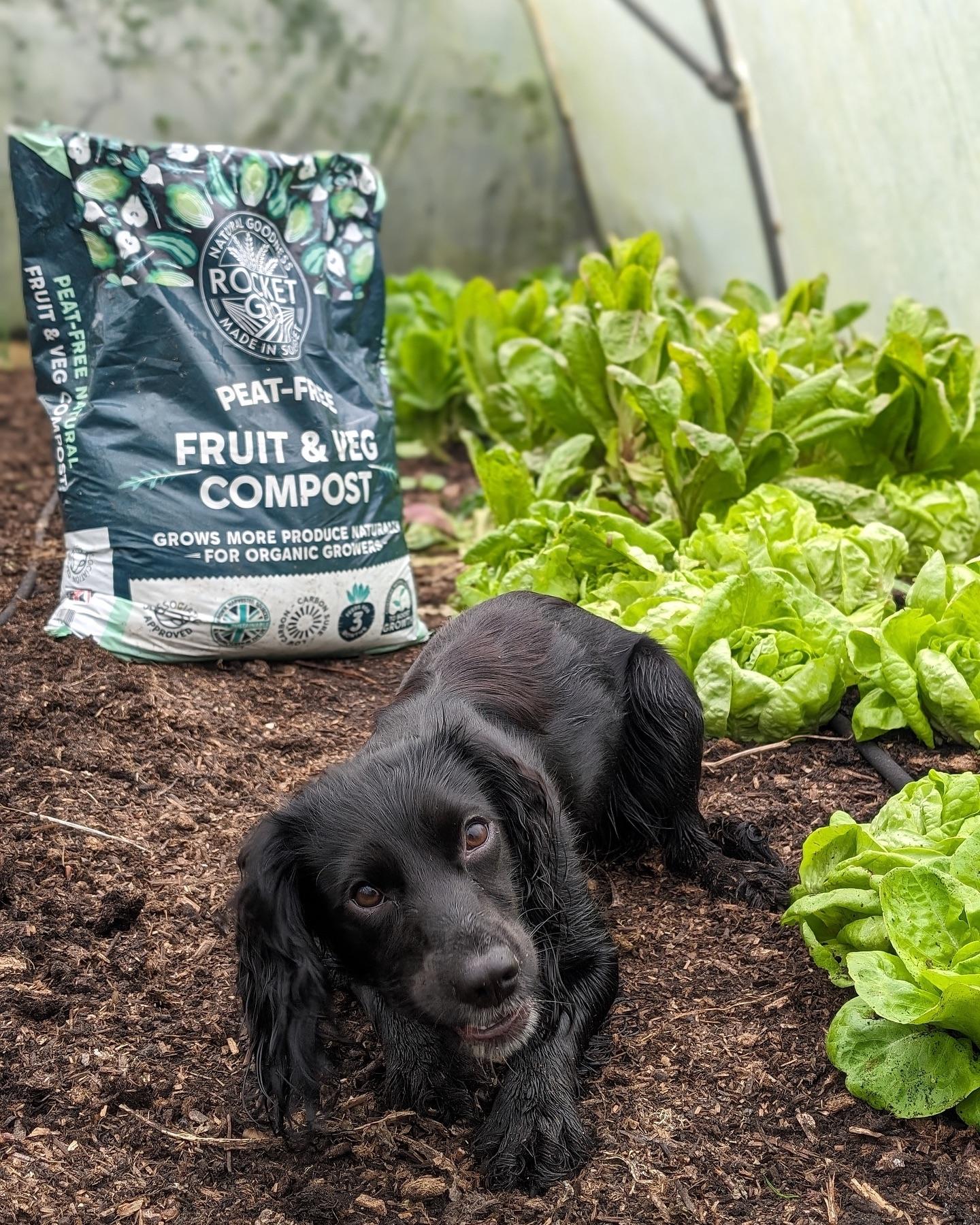 469258419_18049302251476717_39525284829099744_n