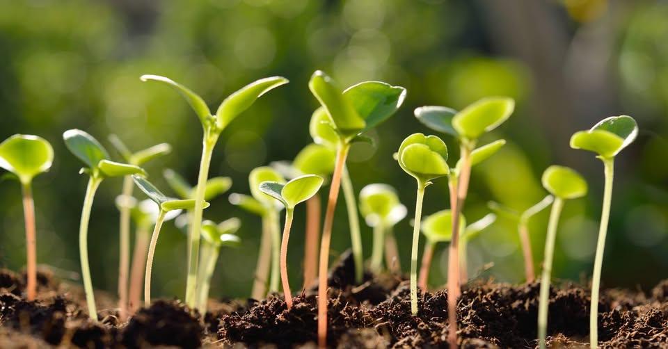 uploads/images/475897093_1550285922587912_2733491319563232818_n