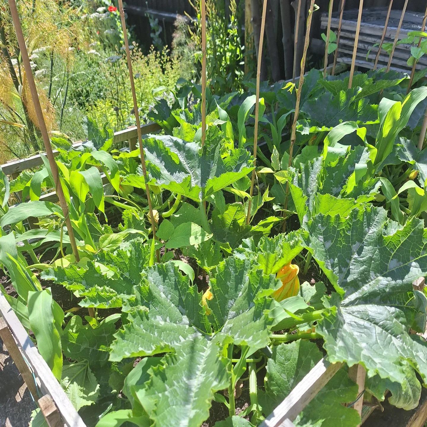 uploads/images/481516218_640742105131530_8015891680578611857_n