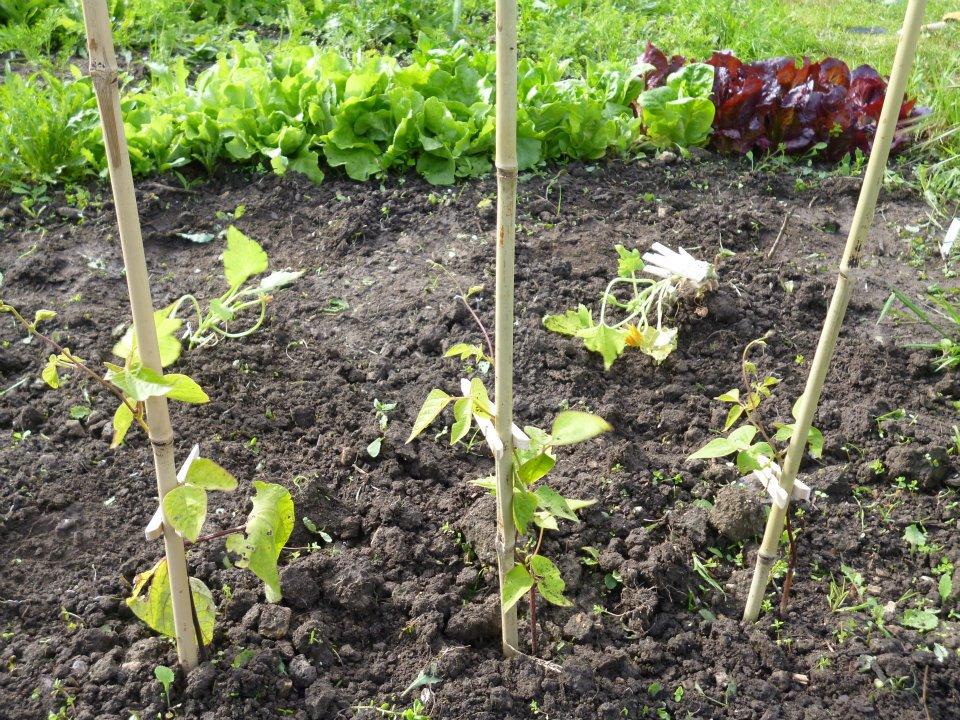 uploads/images/498580457_24545455461704792_7738608098495646873_n