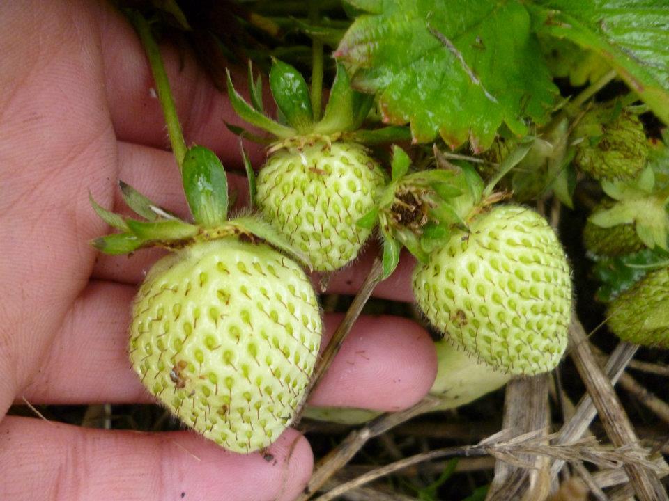 uploads/images/502603776_24545455451704793_2366674434634019666_n