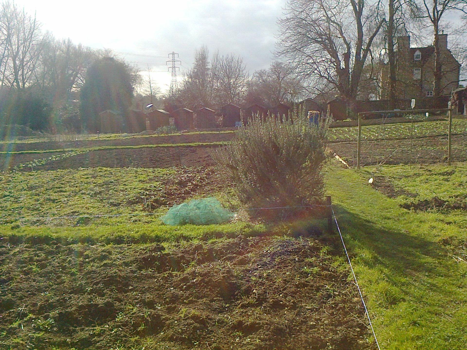 uploads/images/508404355_24532710996312572_517807932020664622_n