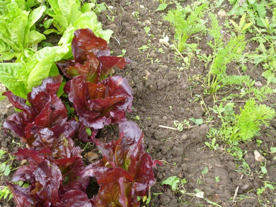 uploads/images/509126749_24545455468371458_1711644628208887670_n