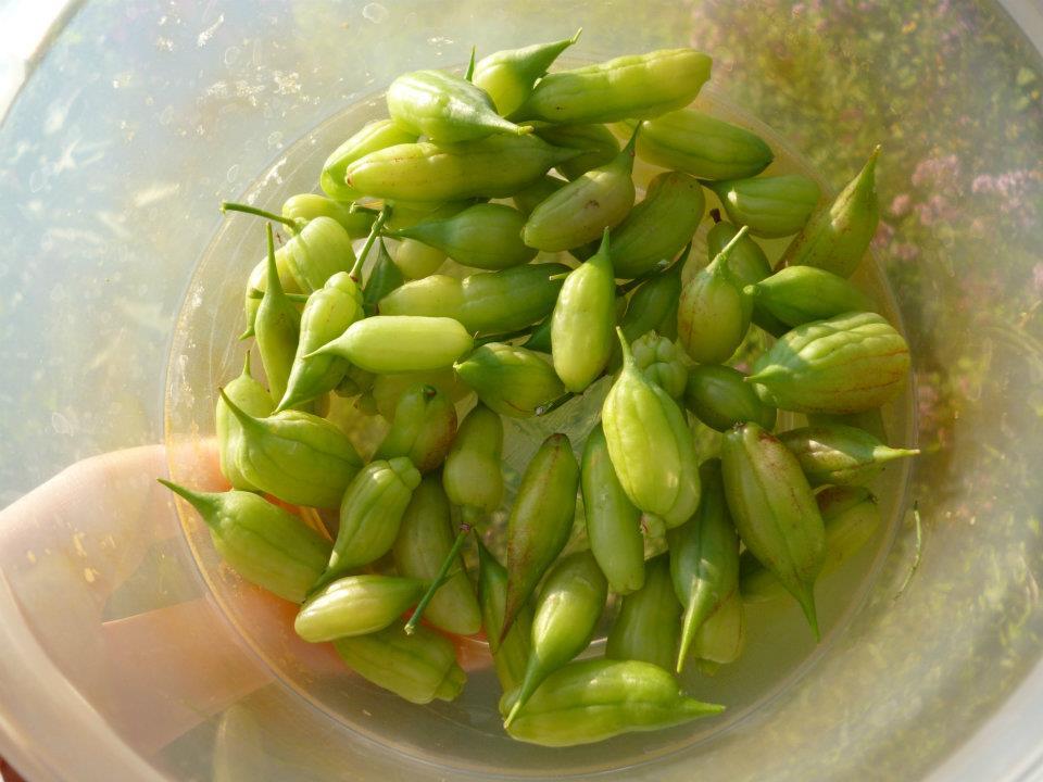 uploads/images/509295872_24547911638125841_5590805293086705074_n