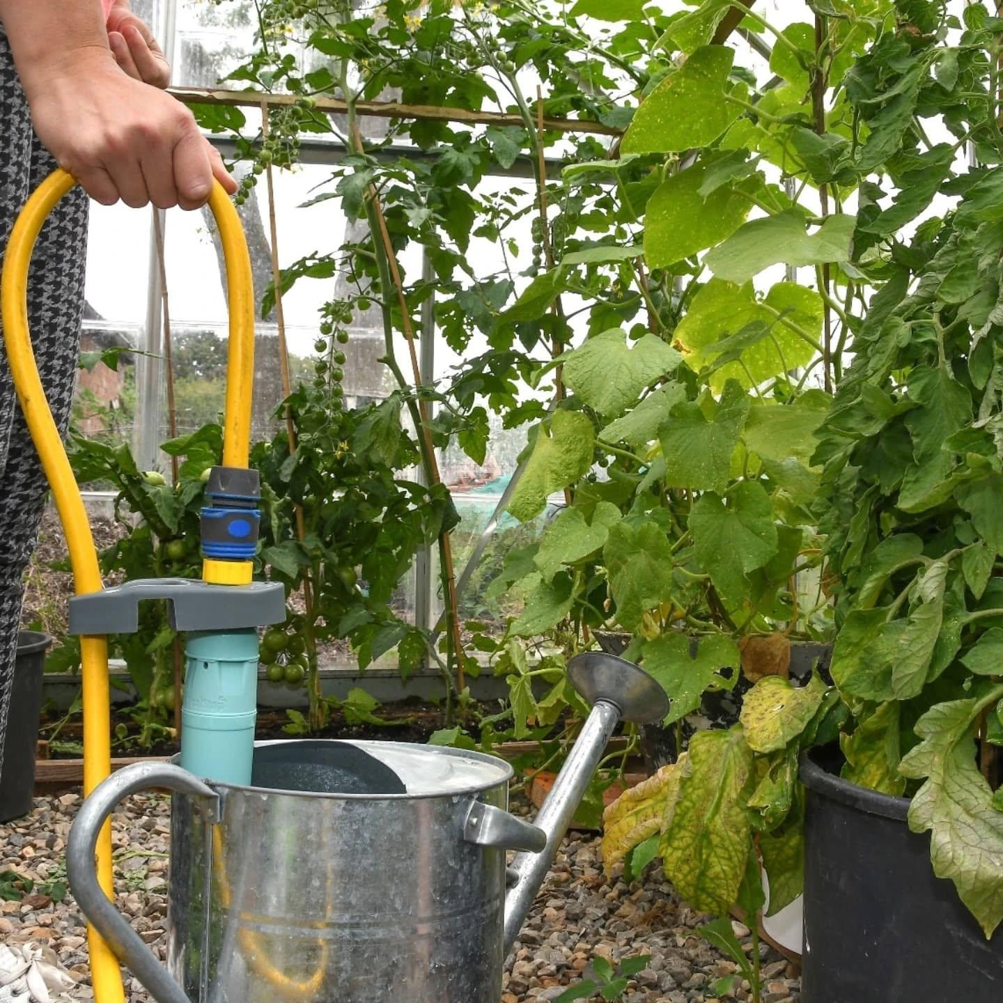 uploads/images/540685617_17918088594153180_4653550787824192611_n