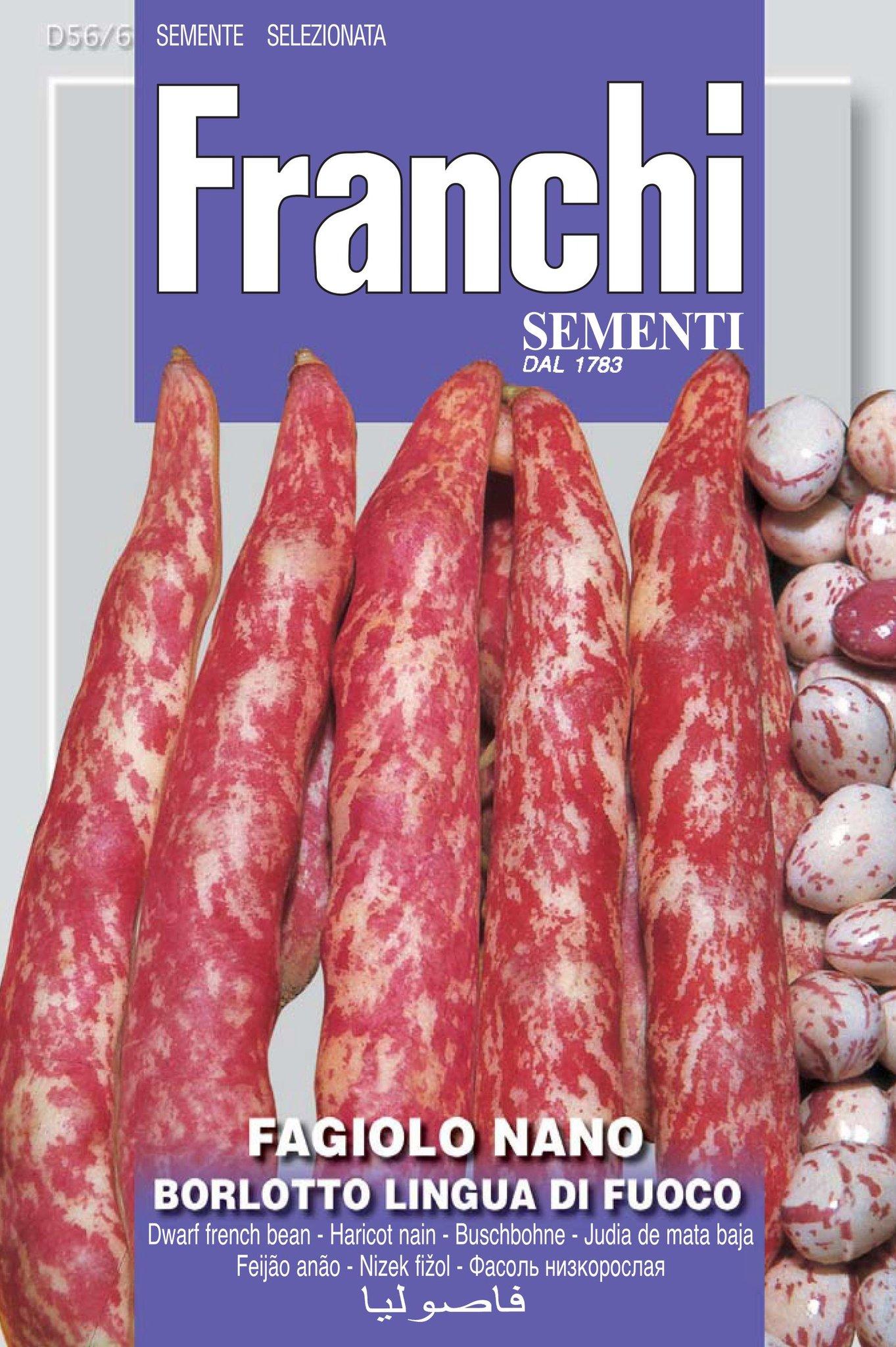 uploads/images/555460917_1305013288307282_6643666898393423484_n