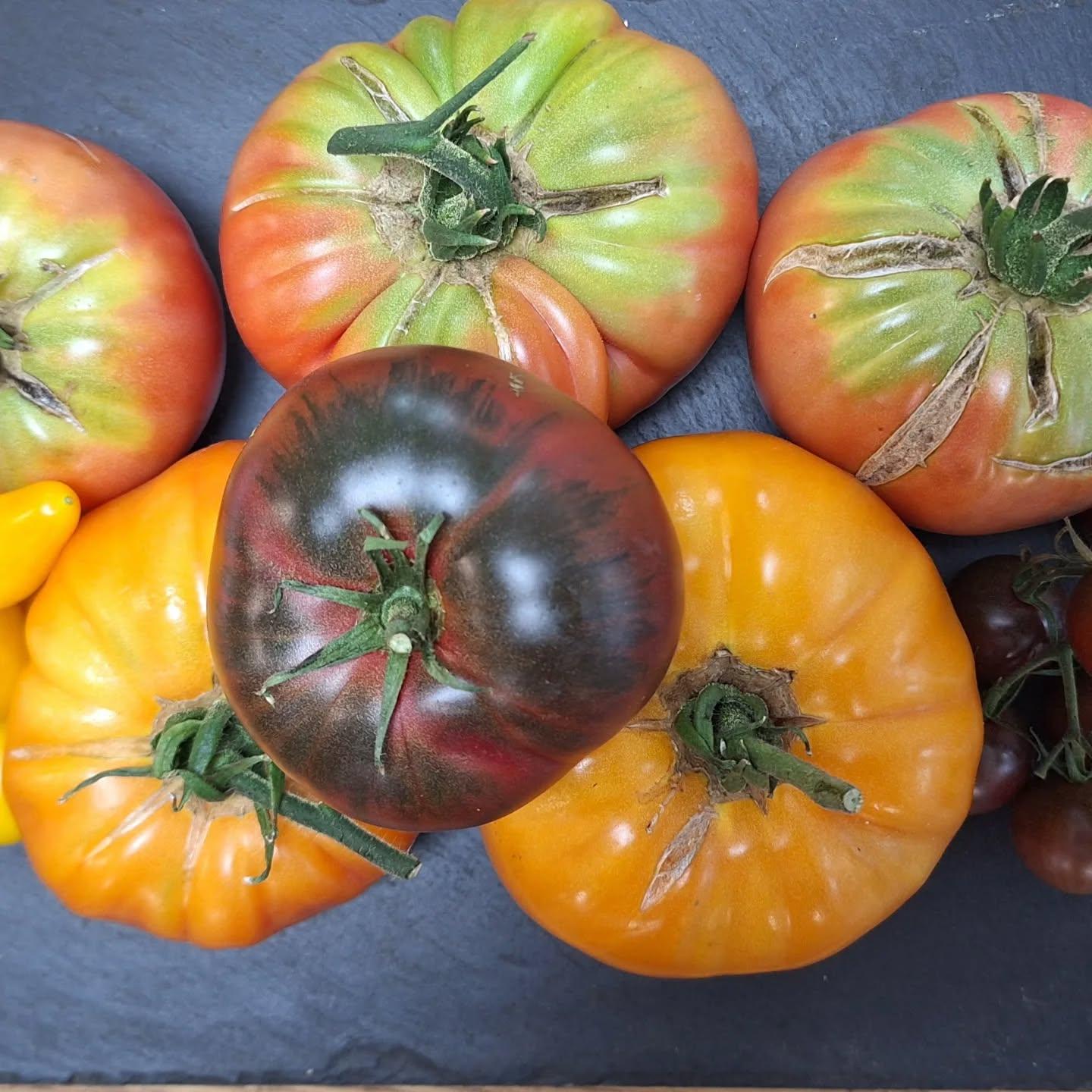 558067834_18032839892720481_546786213773468941_n