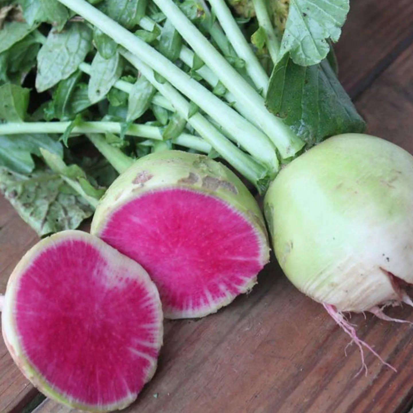 560304094_18033414761720481_8199208005572178247_n