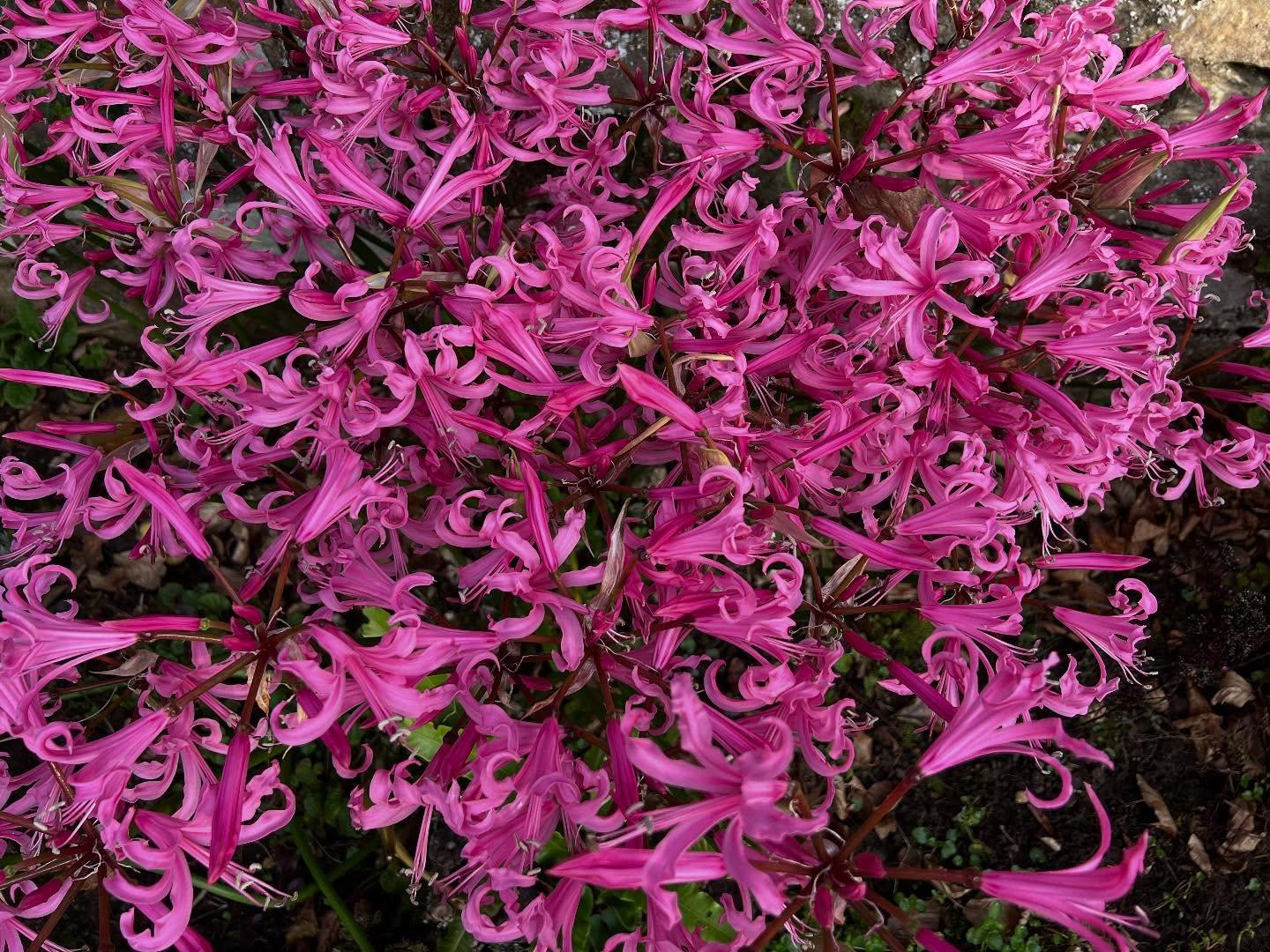 uploads/images/572139175_18503669842069702_2347257592144937063_n