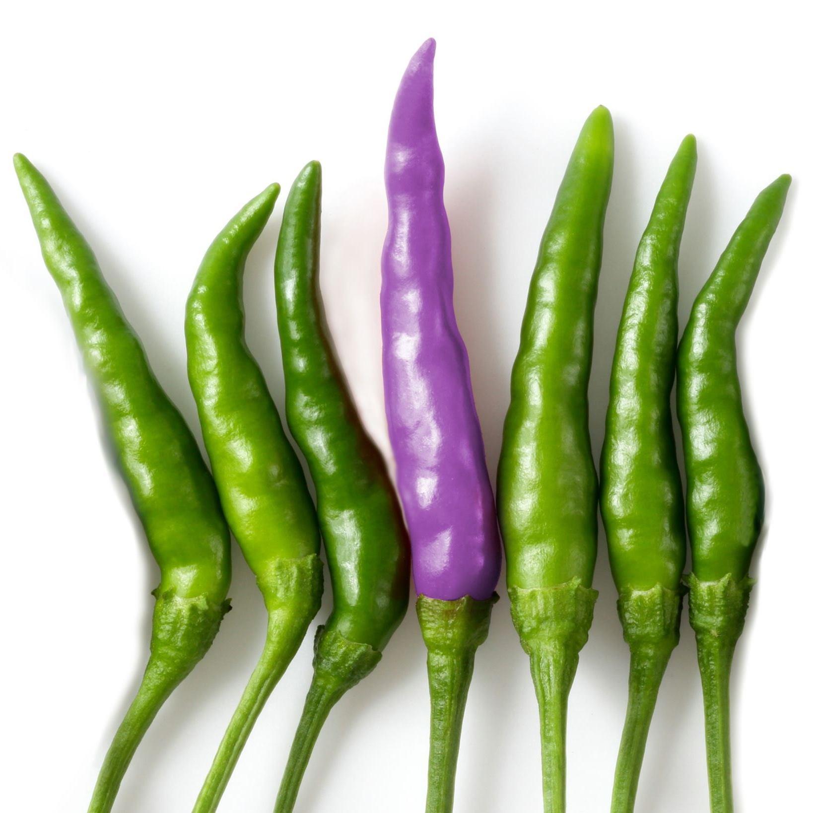 uploads/images/71000767_2825093527500965_7474793230341505024_n