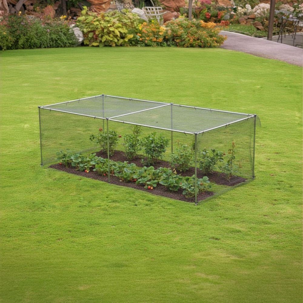 uploads/images/Adobe_express_ _file_2_ 1