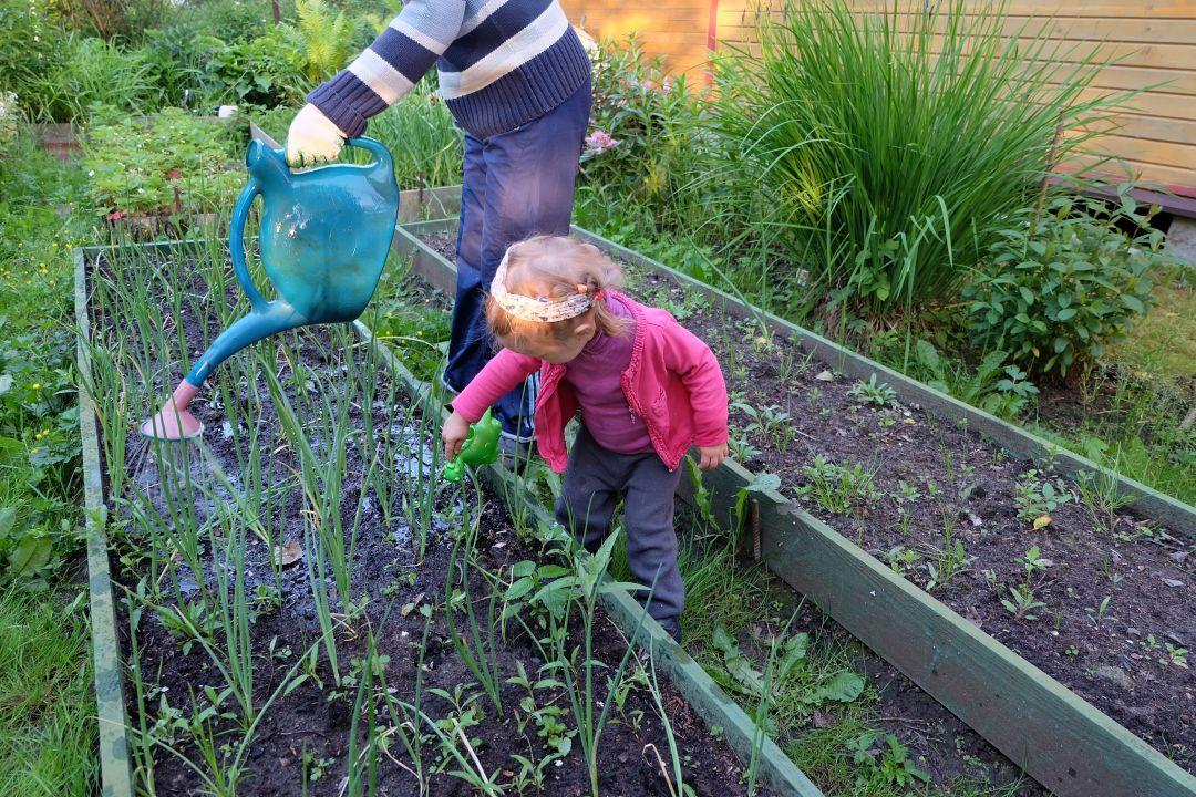 uploads/images/Allotment Activities For Kids