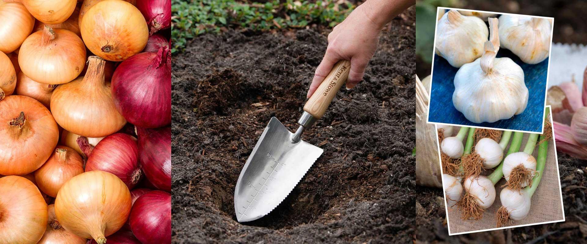 uploads/images/Allotment Online Hero Image