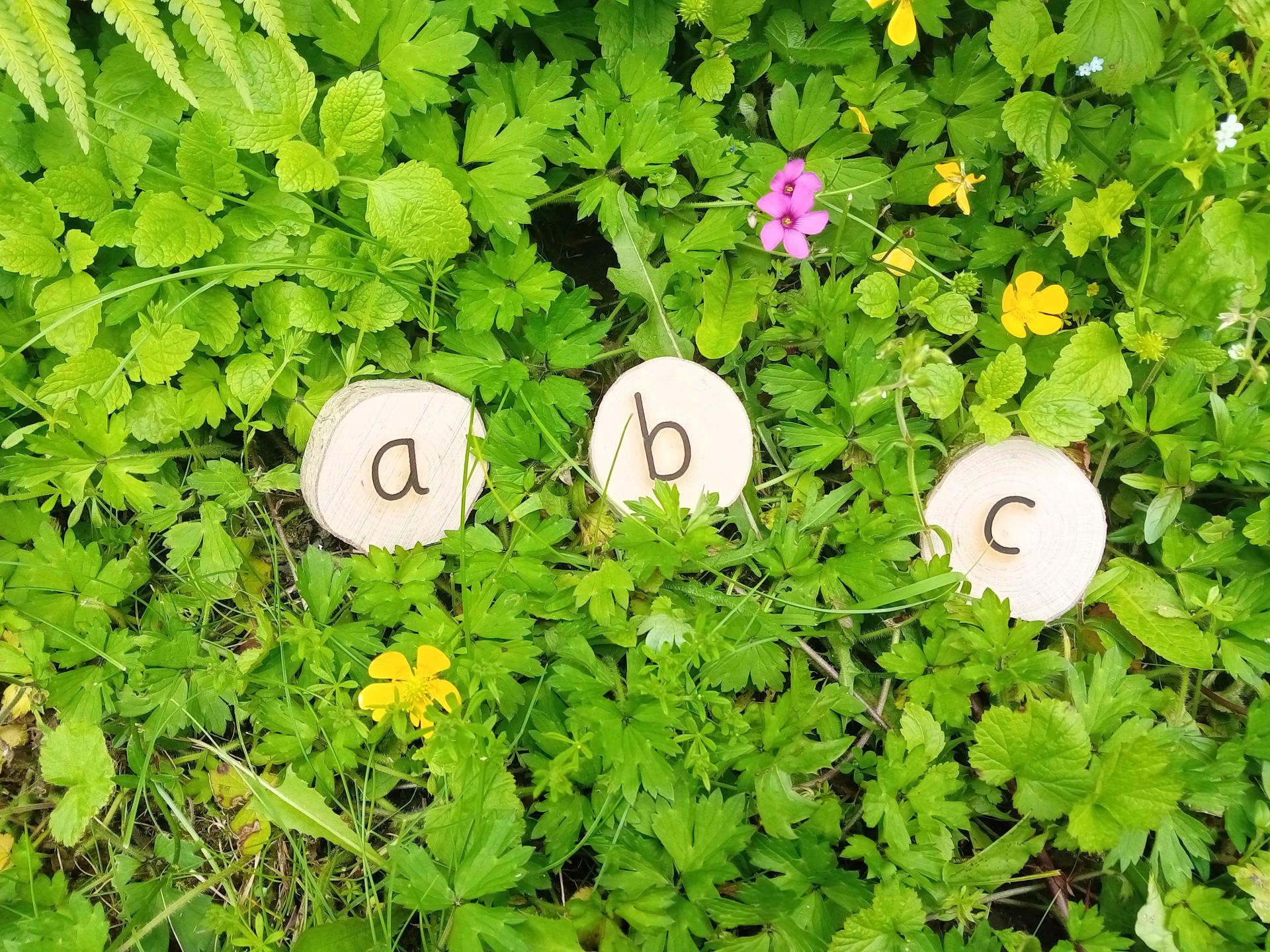 uploads/images/Alphabet Nature Hunt Opwoo56l